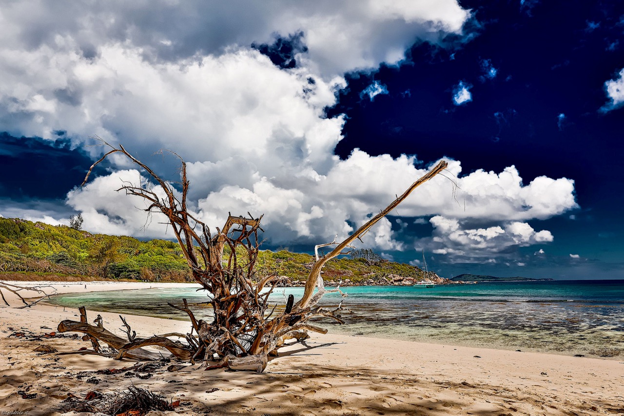2025Seychelles-1011 – dimensioni grandi