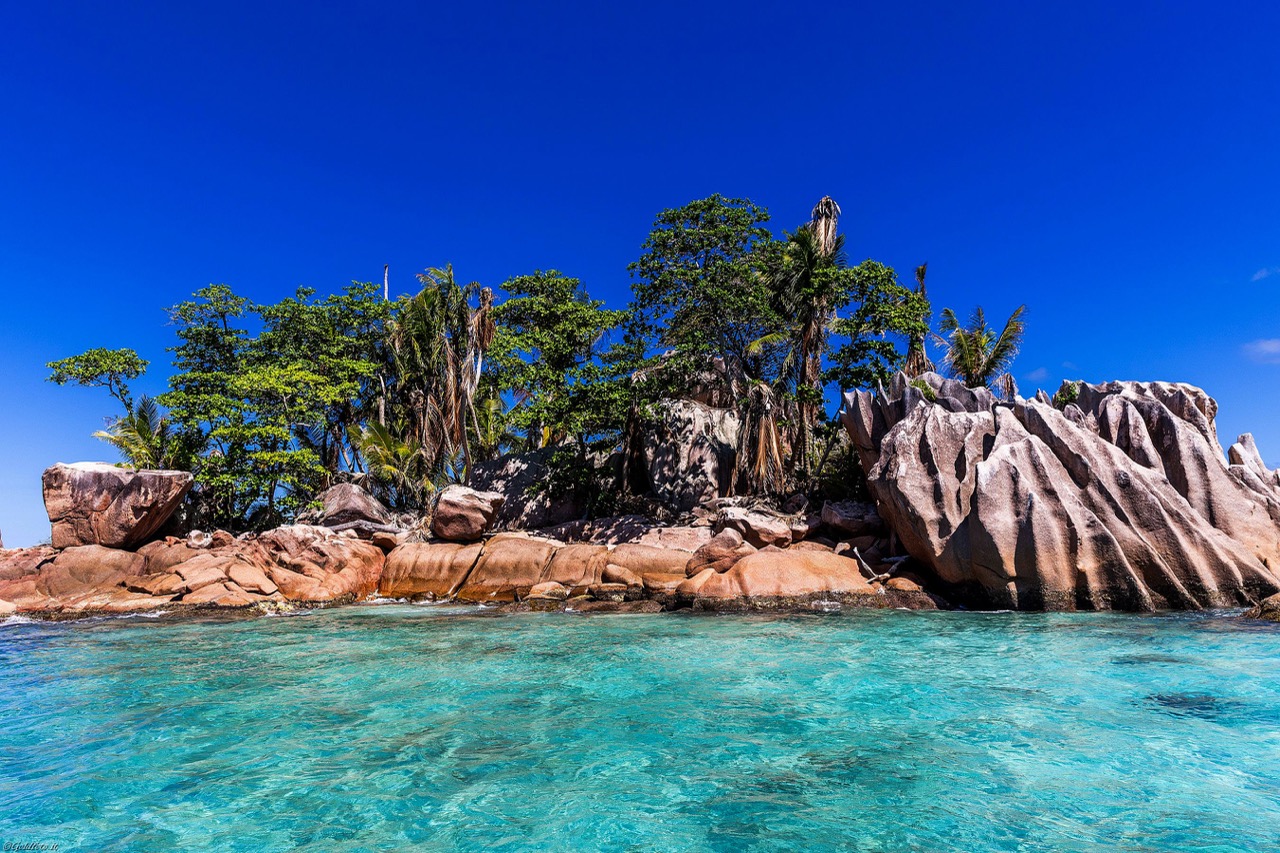 2025Seychelles-1462 – dimensioni grandi