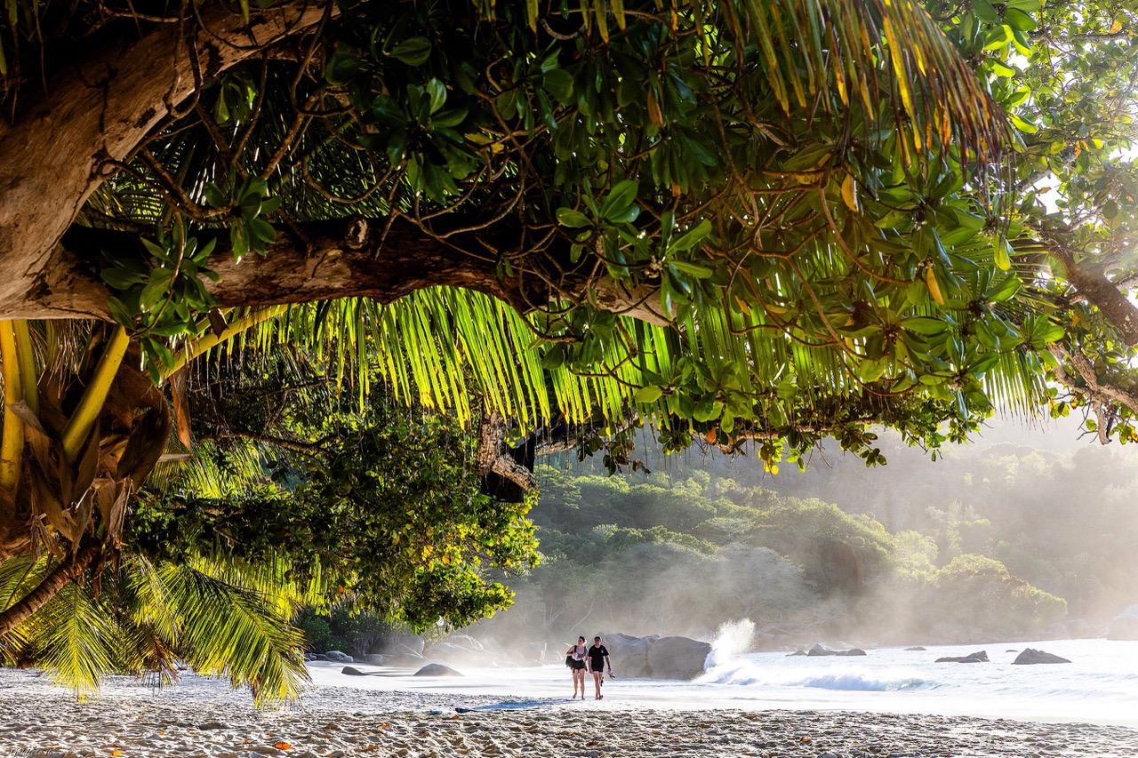 2025Seychelles-1515 – dimensioni grandi