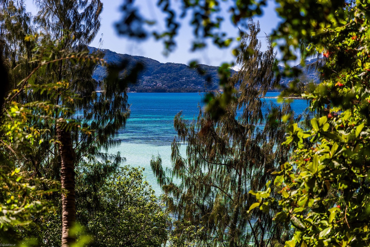 2025Seychelles-286 – dimensioni grandi
