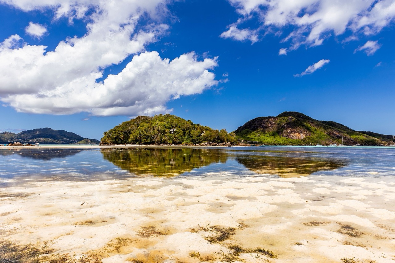 2025Seychelles-74 – dimensioni grandi