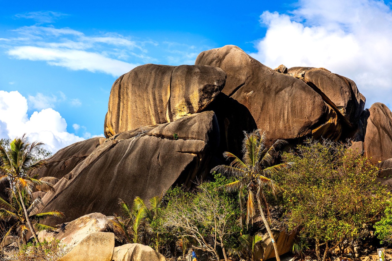 2025Seychelles-837 – dimensioni grandi