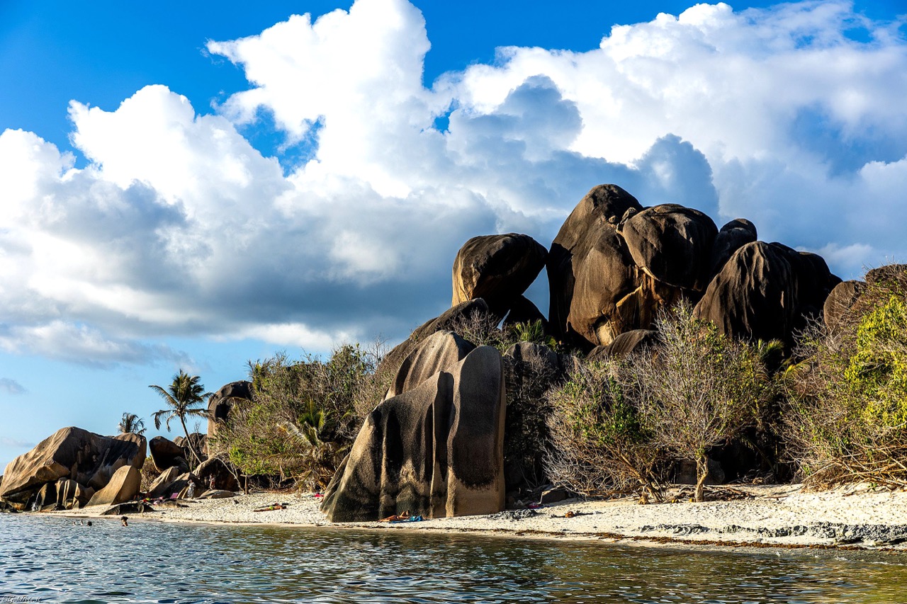 2025Seychelles-877 – dimensioni grandi