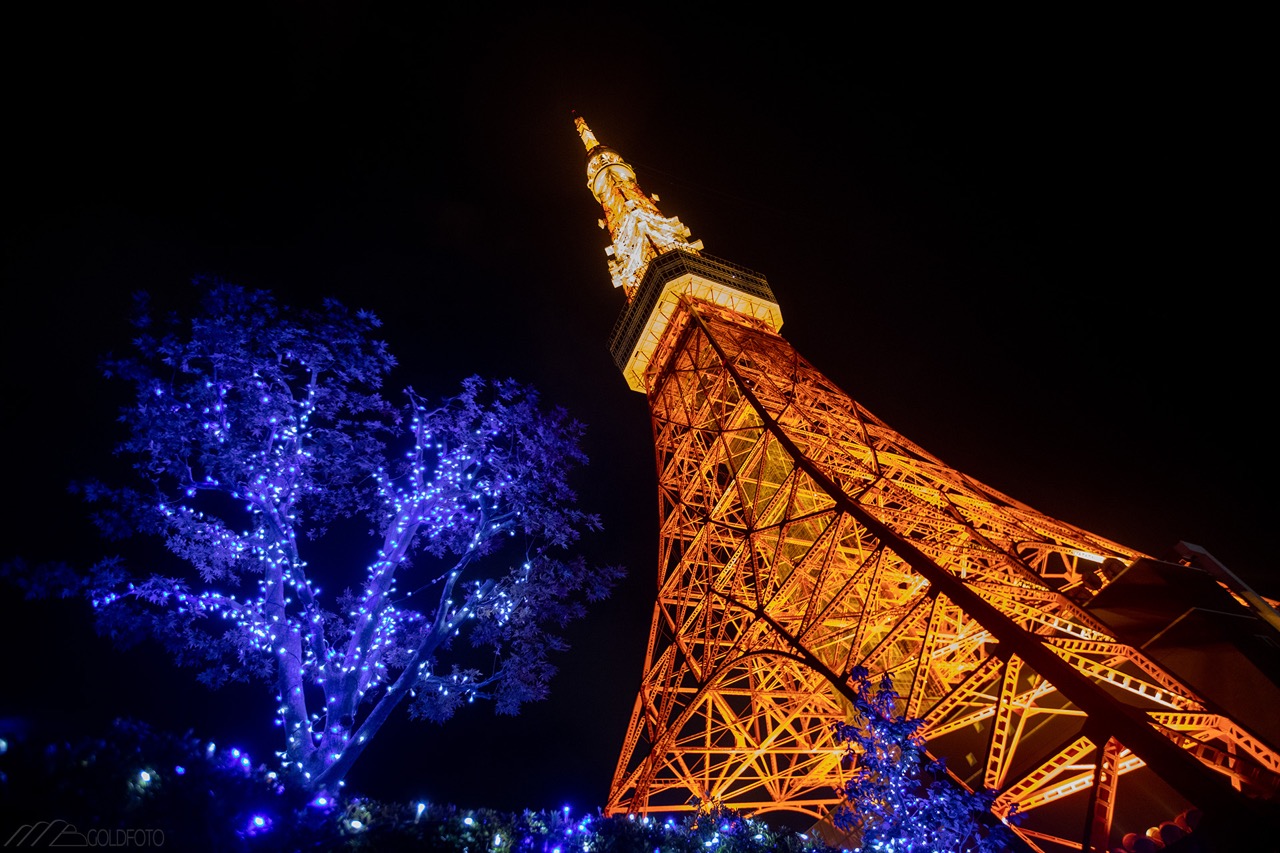 ATokyo2019-7 – web