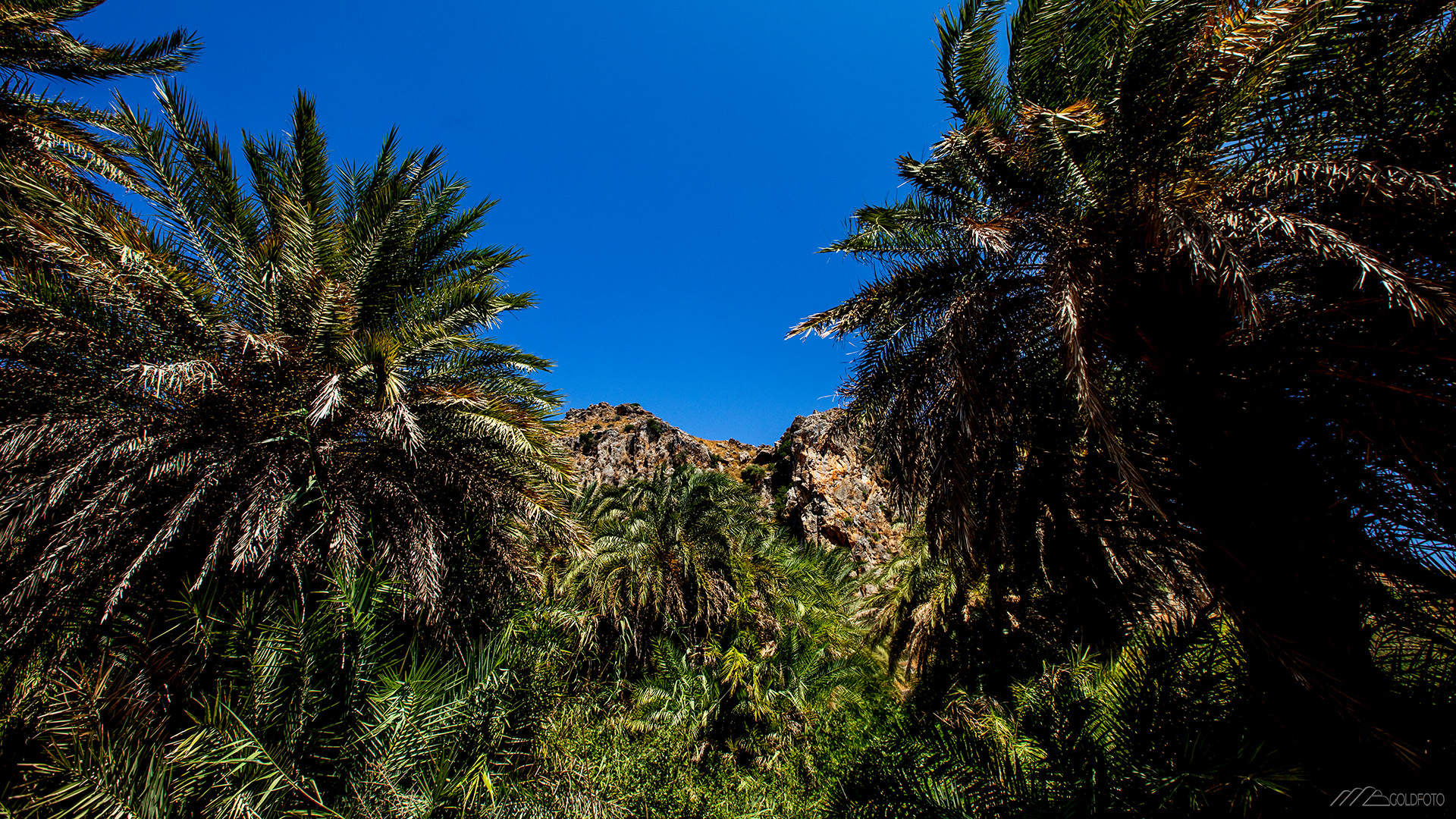 Creta19-565