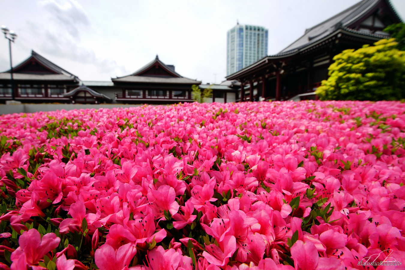 DSC00107-1350×900