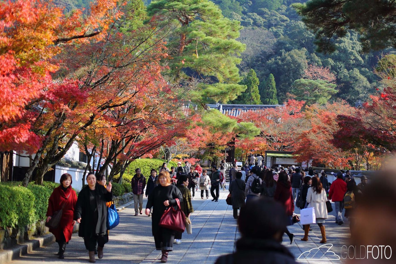 Kyoto_043-1350×900