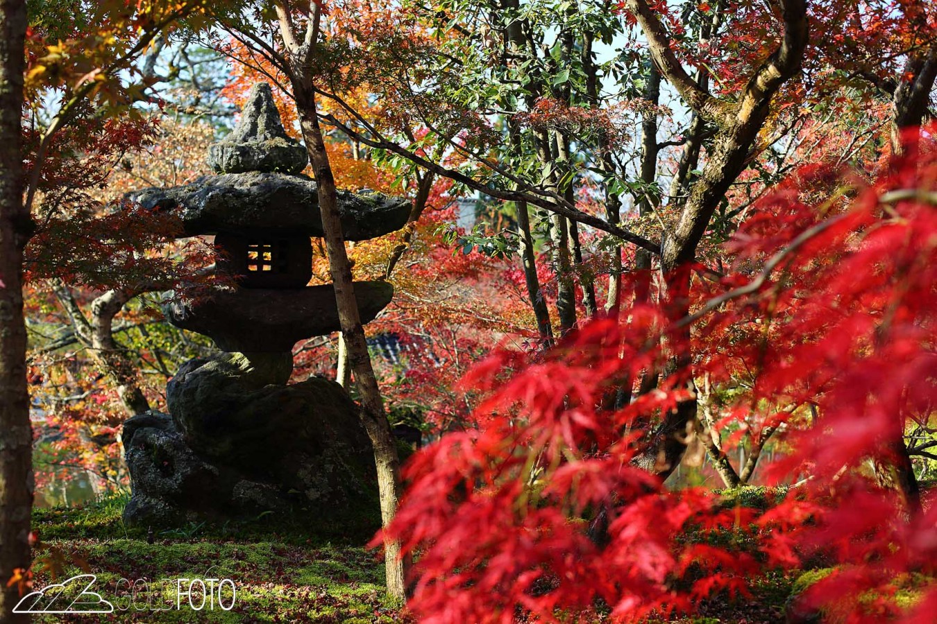 Kyoto_045-1350×900
