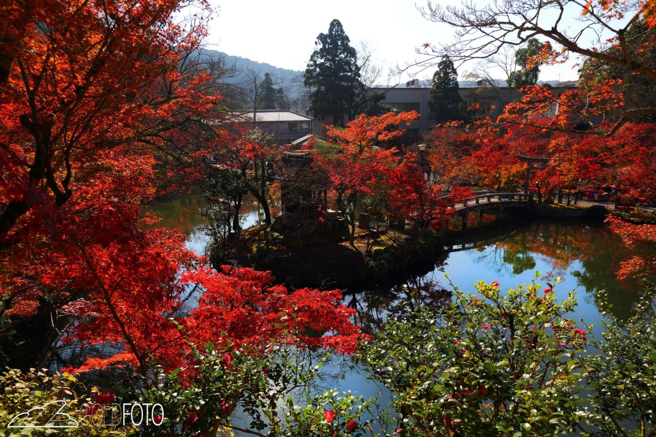 Kyoto_054-1350×900