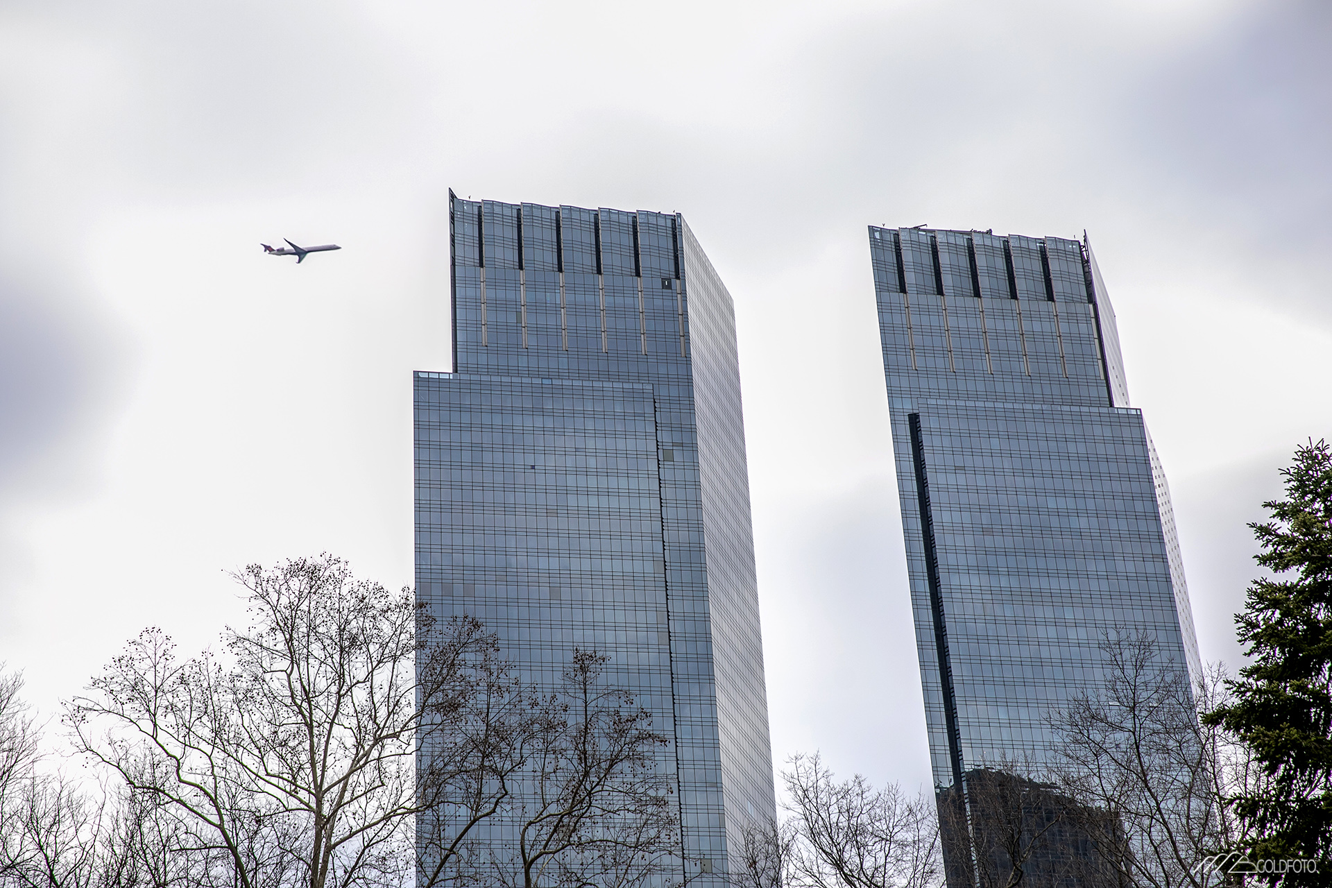 NYC2019-1000