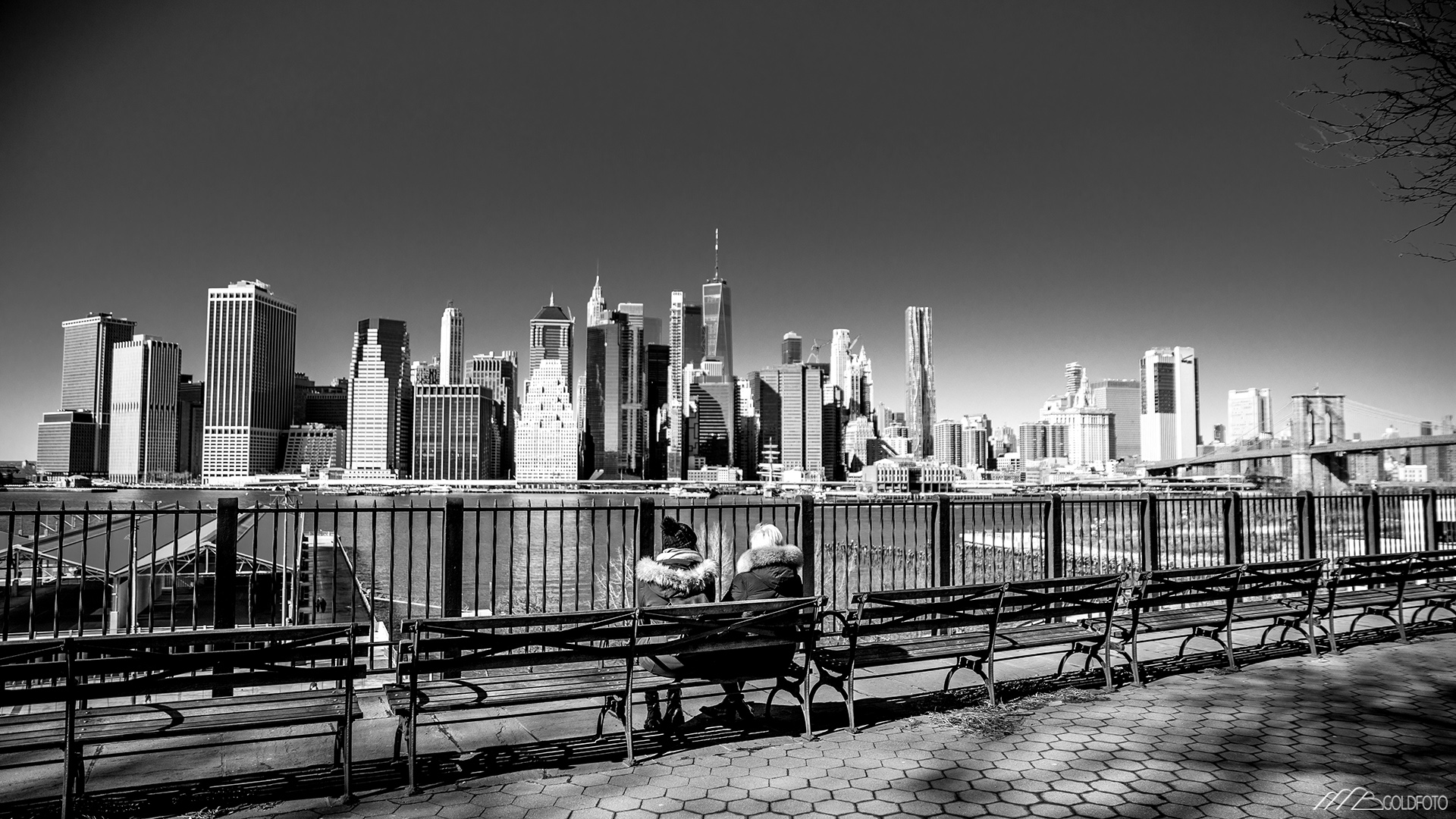 NYC2019-1164