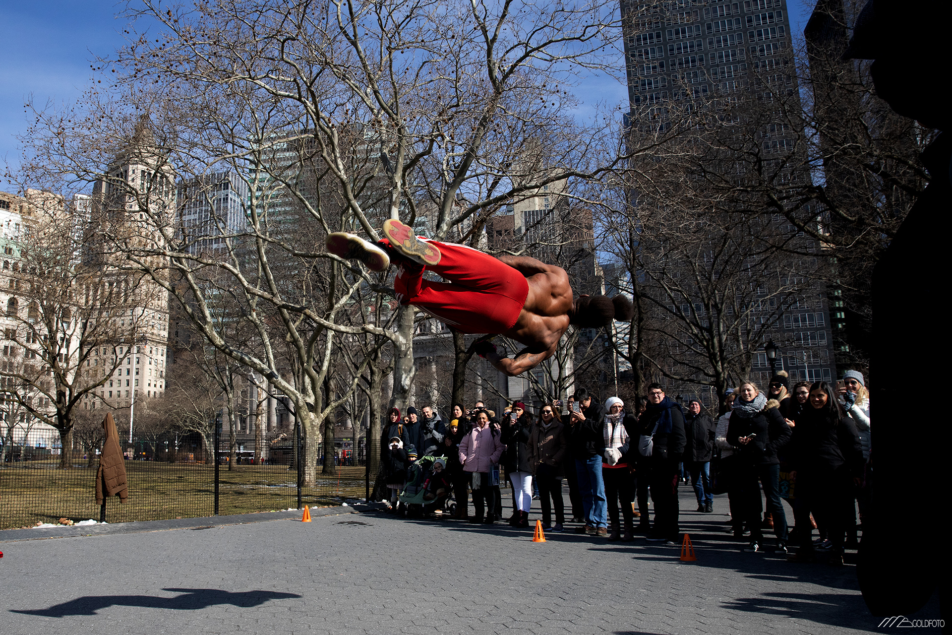 NYC2019-659