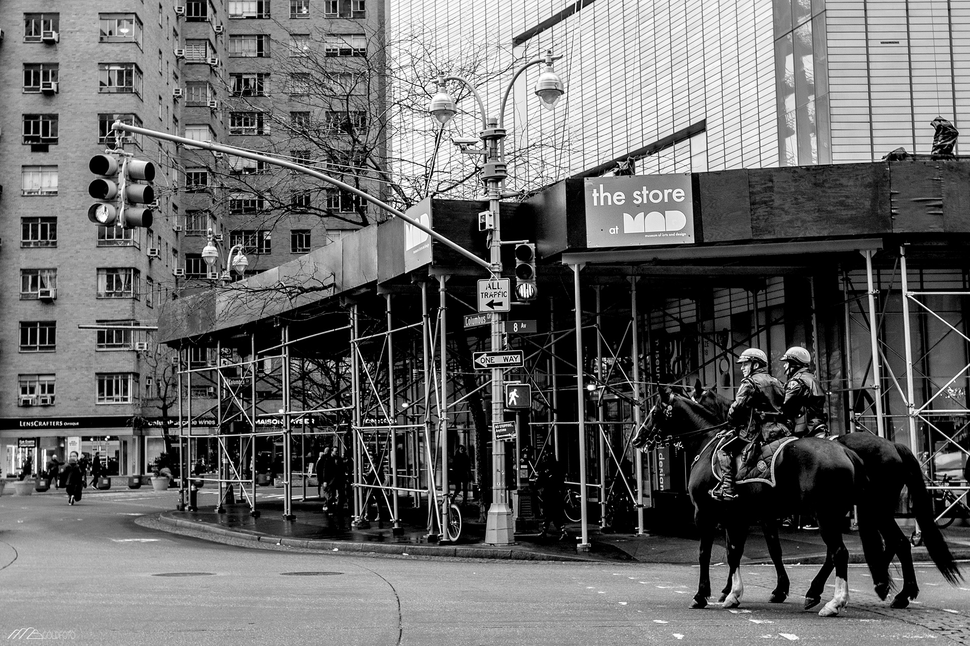 NYC2019-881