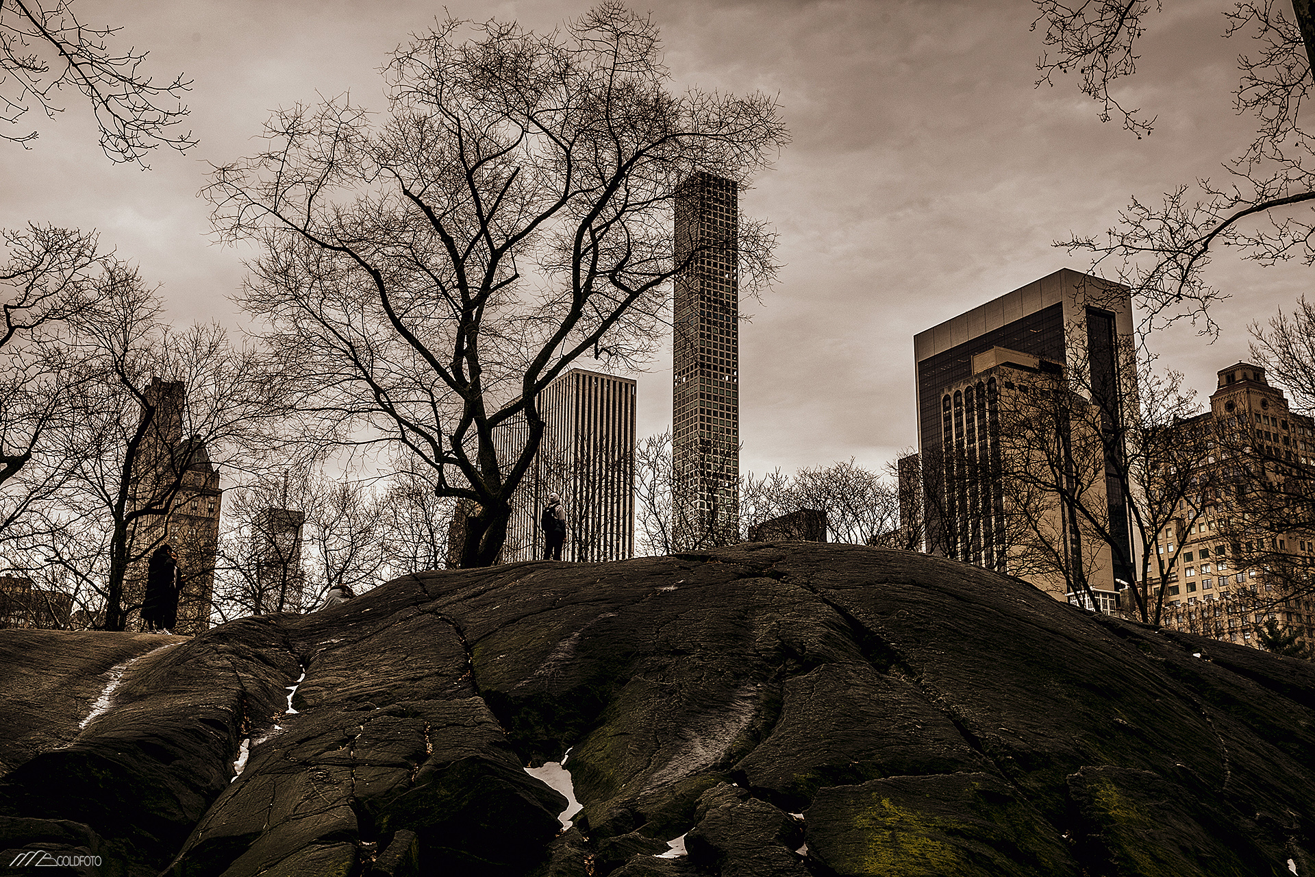 NYC2019-891
