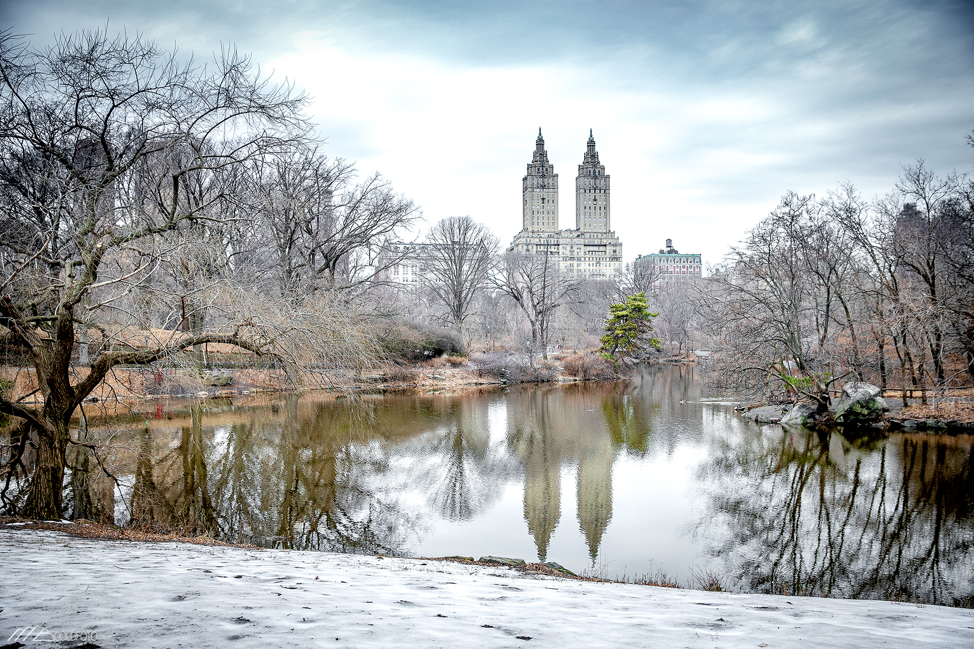 NYC2019-929
