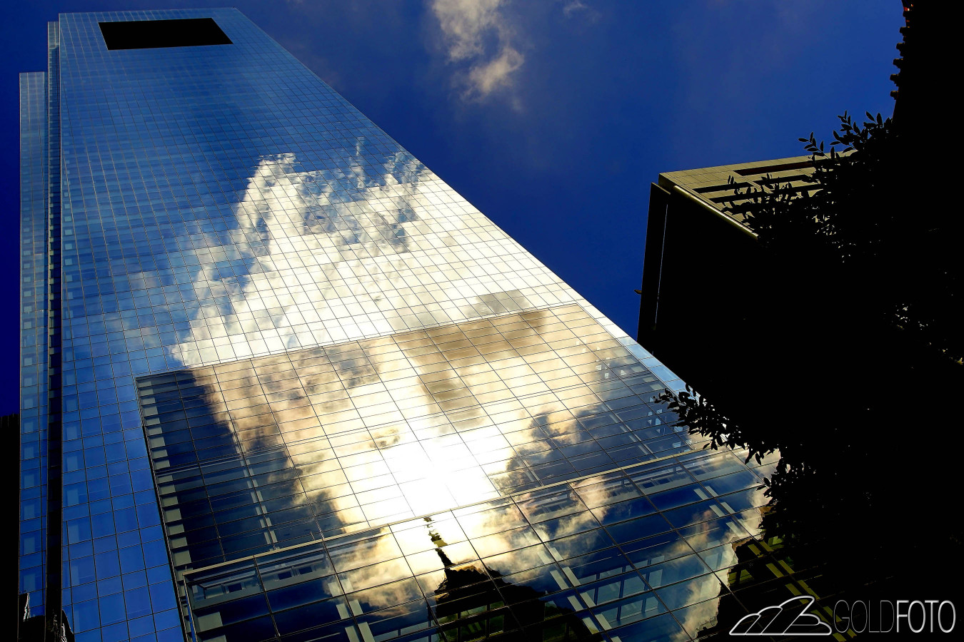 Philly201524-1350×900